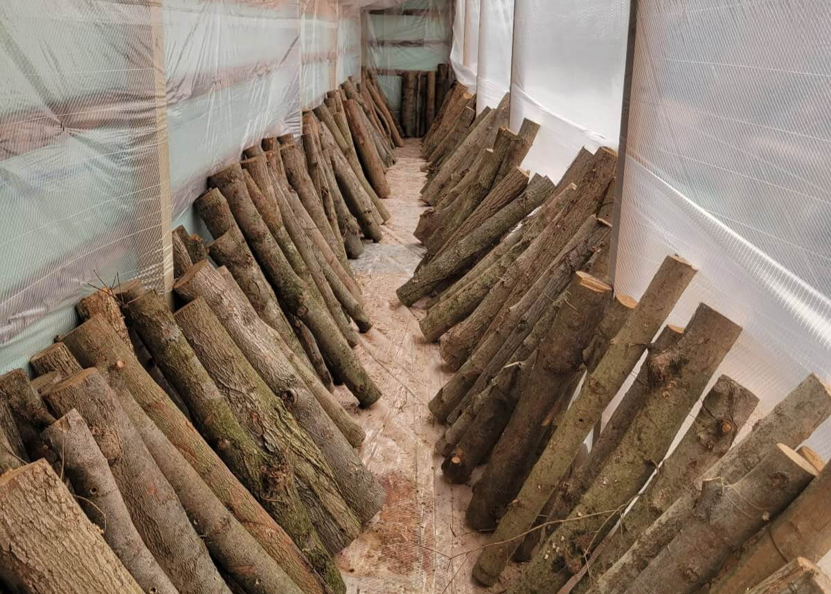 Mike's Mycology | Custom Mushroom Project | Interior Log Stacs