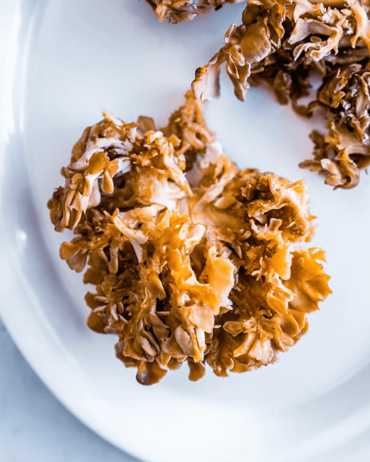 Dried Hen of the Woods Mushrooms